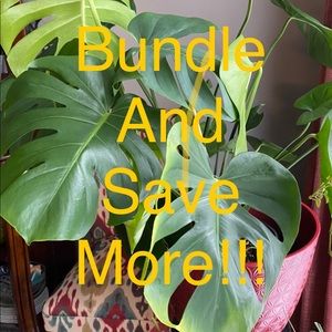 BUNDLE BUNDLE BUNDLE